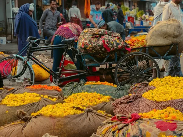 flowers market pink city jaipur